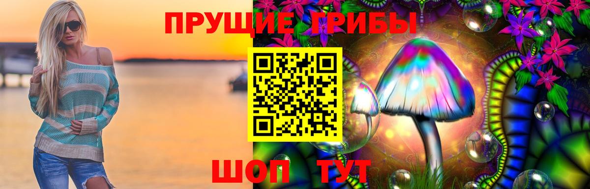 Галлюциногенные грибы прущие грибы Калининград