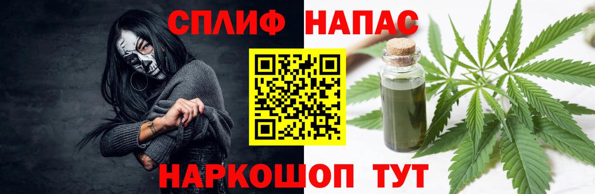 Канабис сатива Калининград